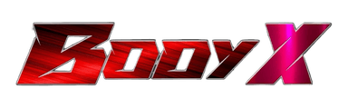 BODY-X LOGO